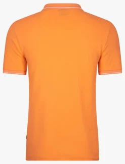 Andrio Polo