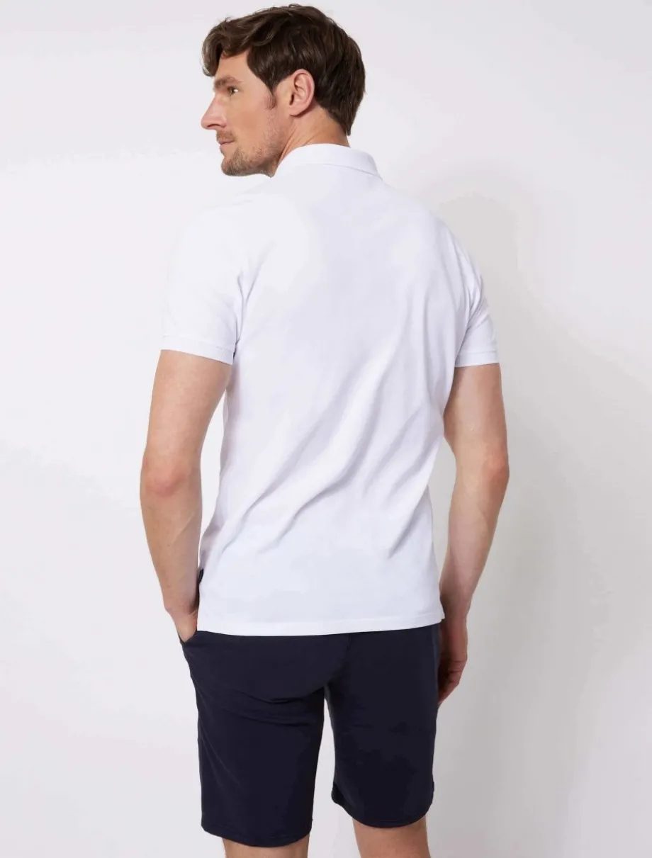 Basic Polo