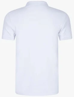 Basic Polo