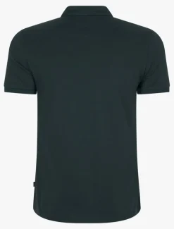 Bernardi Polo