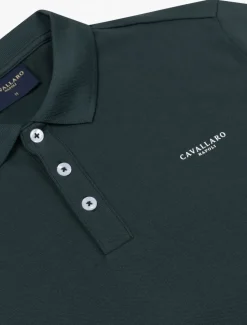 Bernardi Polo
