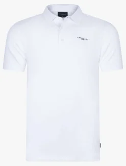 Cosimo Polo