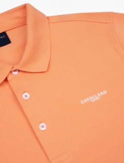 Cosimo Polo