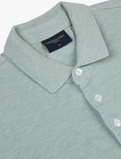 Damiano Polo