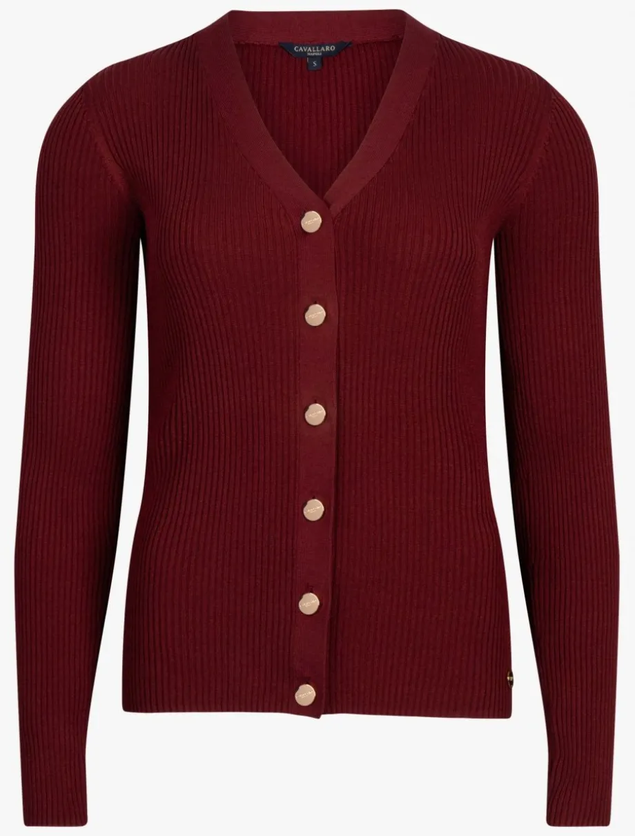 Masserina Vest