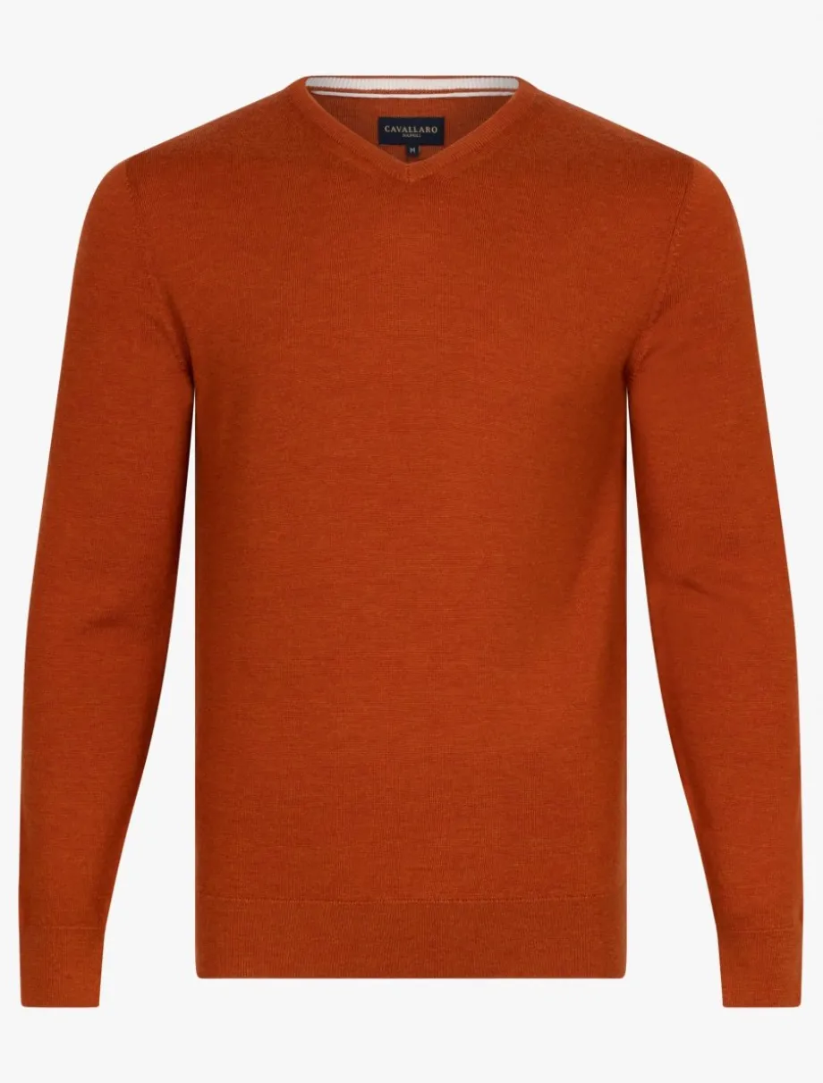 Merino V-Neck Trui