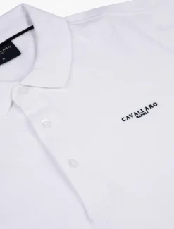 The Polo