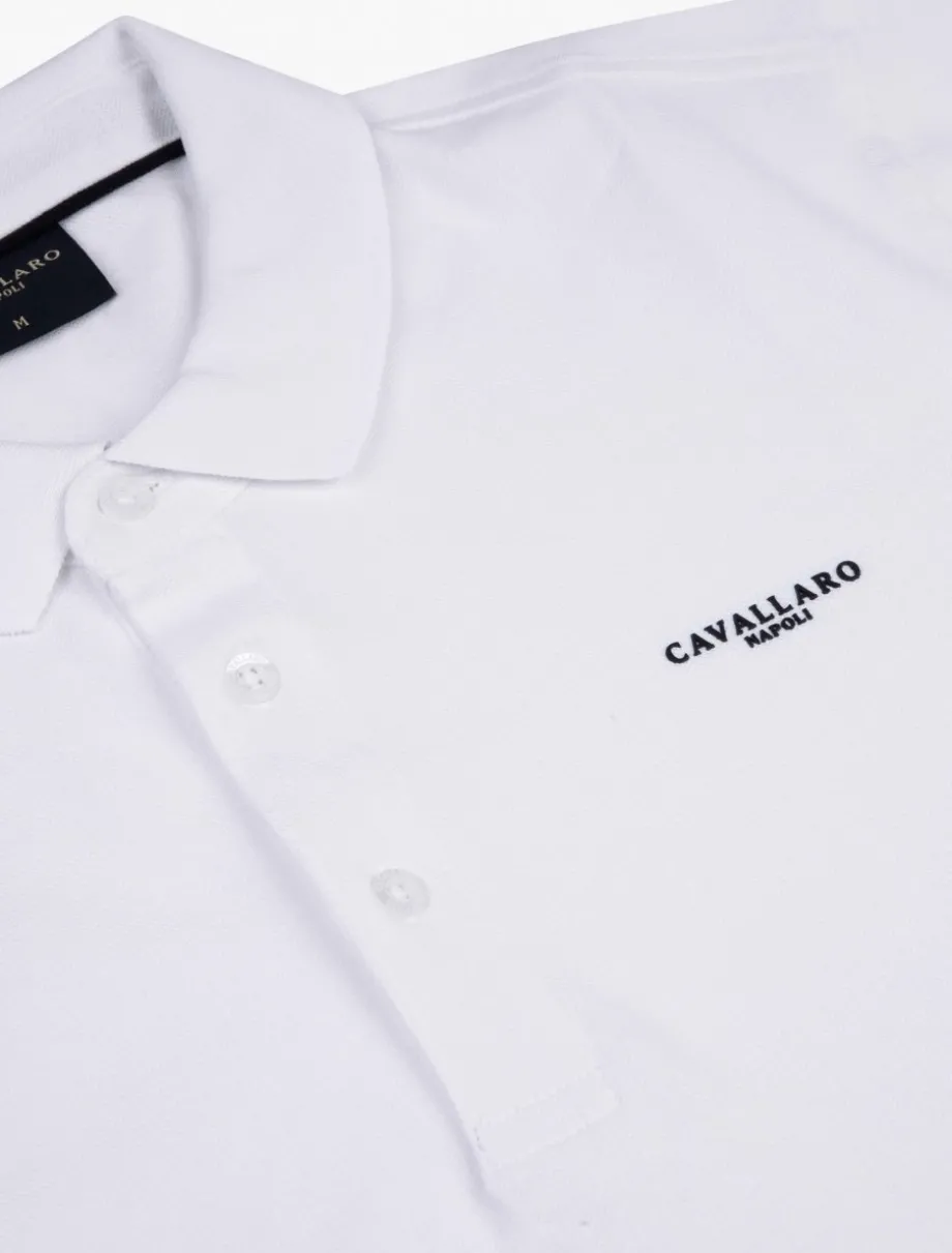 The Polo