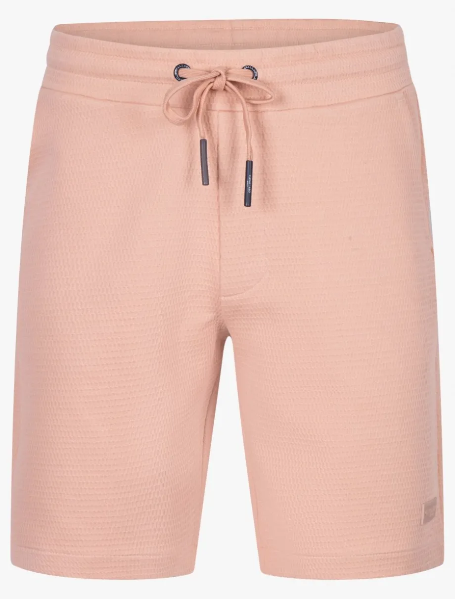 Turso Shorts